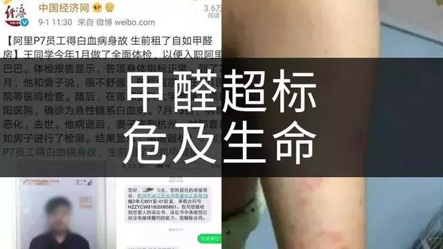 新房如何除甲醛？最权威的做法都在这儿了！